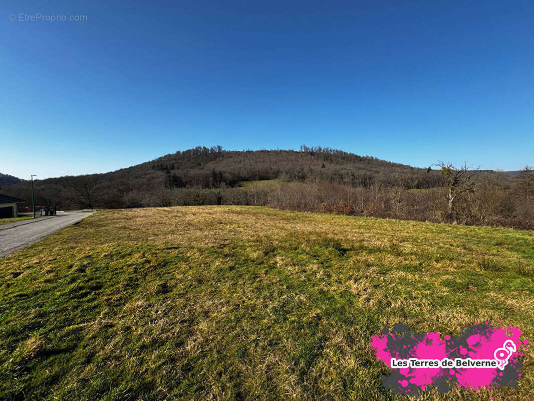 Terrain à BELVERNE