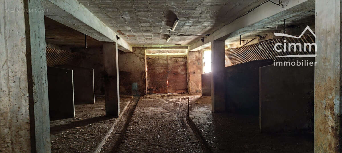 Commerce 484 m² à Saint-Agnan-En-Vercors  - photo 6