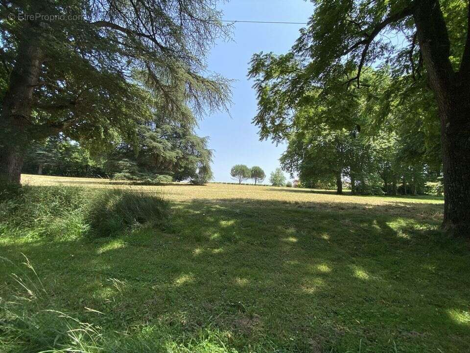 Maison à CREON-D'ARMAGNAC