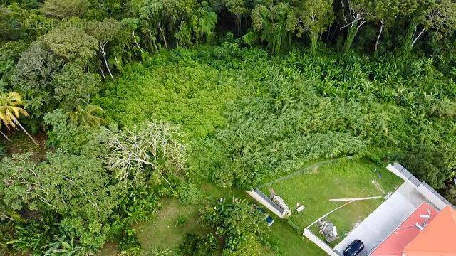 Terrain à RIVIERE-SALEE