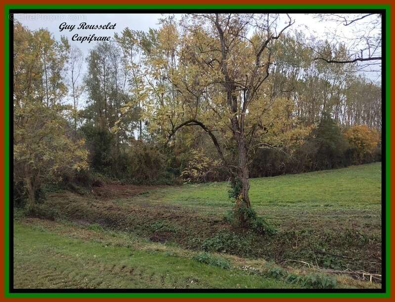 Propriete a vendre faite d'une maison, d'une grange, d'un grand terrain - photo 23