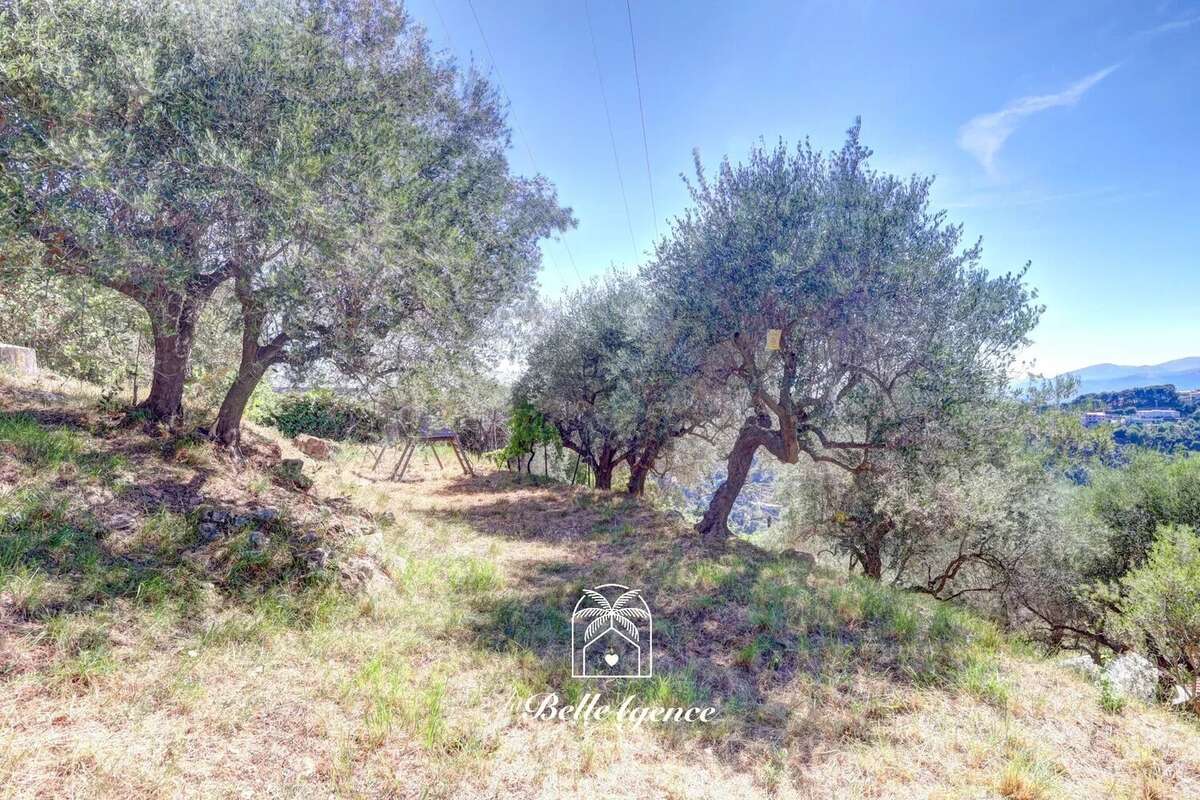 Aspremont - Terrain constructible 1500m² - Vue panoramique - "Nadia" - photo 2