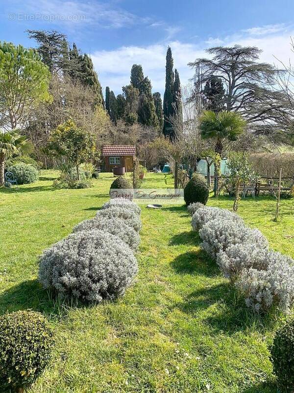 ALLEE - Maison à VIC-FEZENSAC