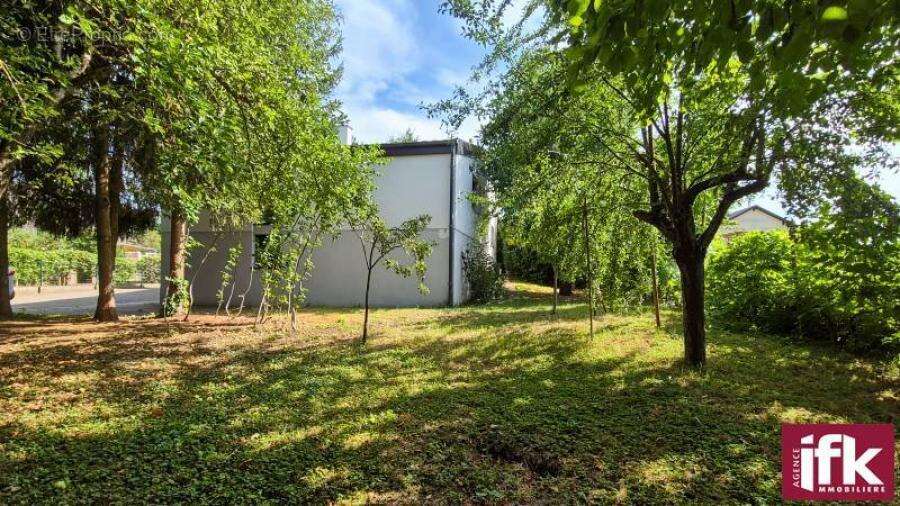 Horbourg-Wihr : Maison d'architecte d'exception avec piscine sur 12,54 ares - photo 11