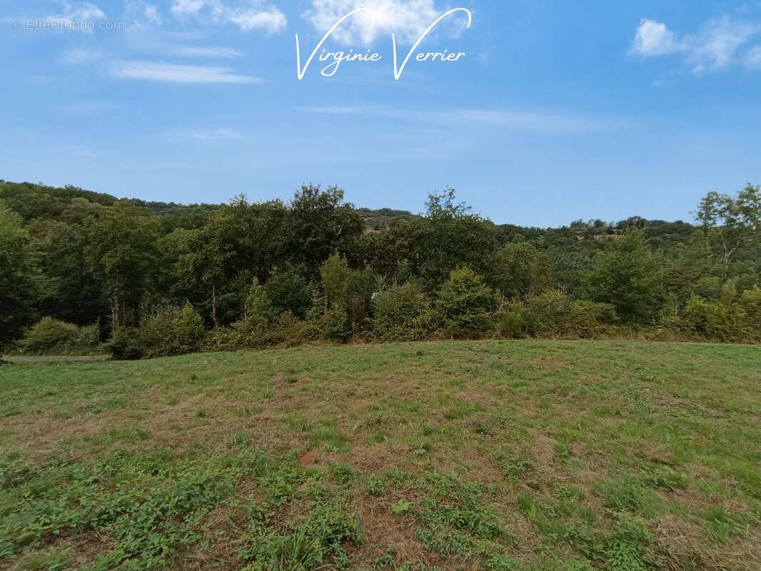 Terrain à SAINT-CYPRIEN