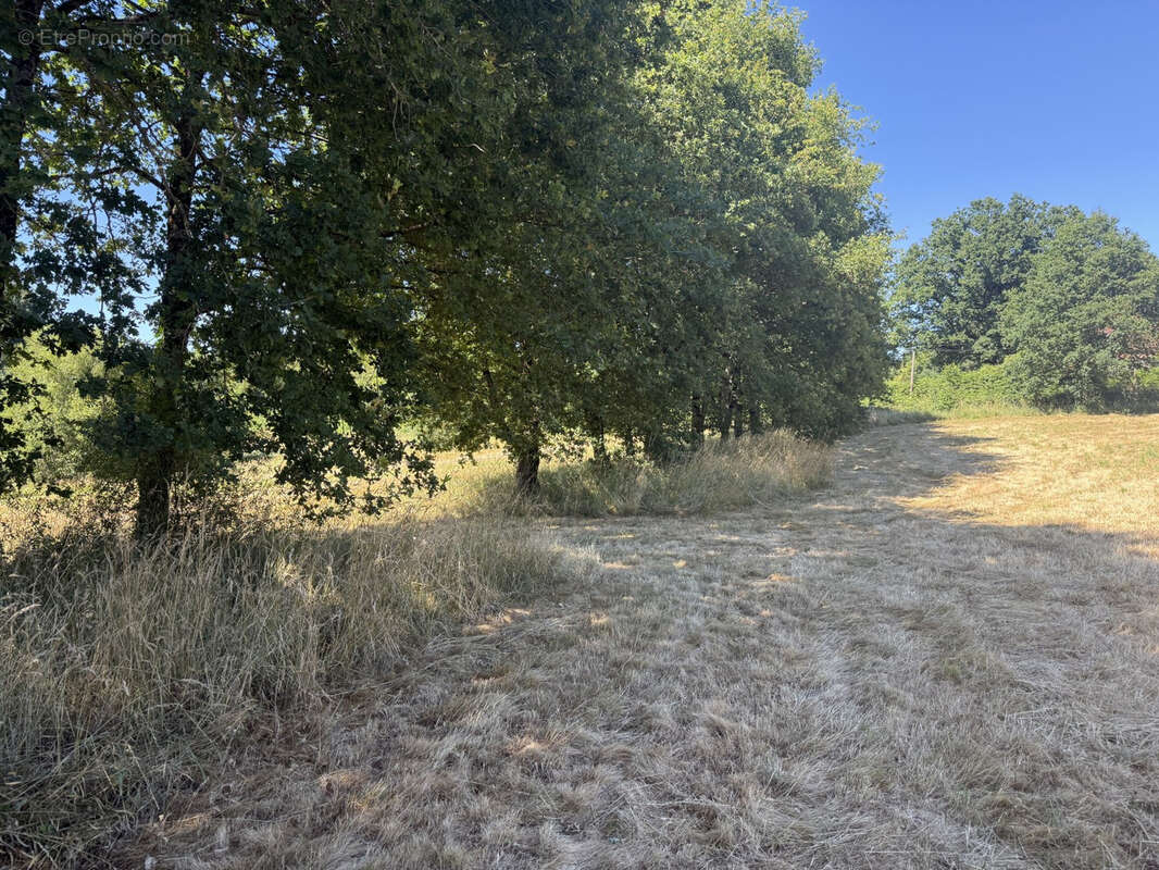 Terrain à BEYSSENAC