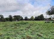 Terrain à BEUZEVILLE