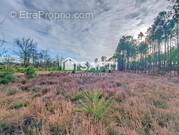 Photo 1 - Terrain à LE BARP