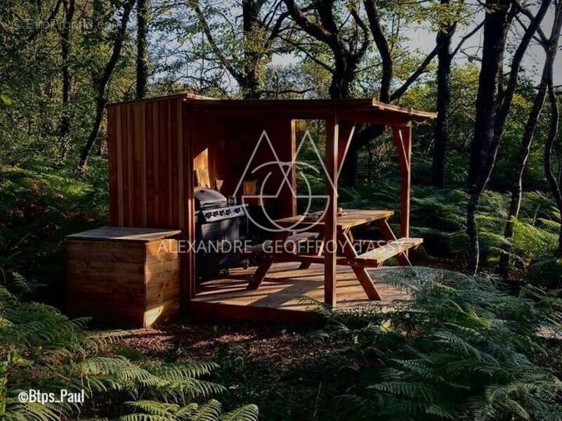 Opportunité d'affaires exceptionnelle : domaine de 24 hectares comprenant 15 hectares d'étangs, parfait pour divers projets tour - photo 14