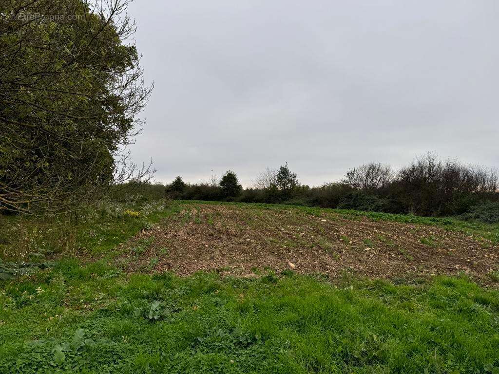 Photo 7 - Terrain à TOSSIAT