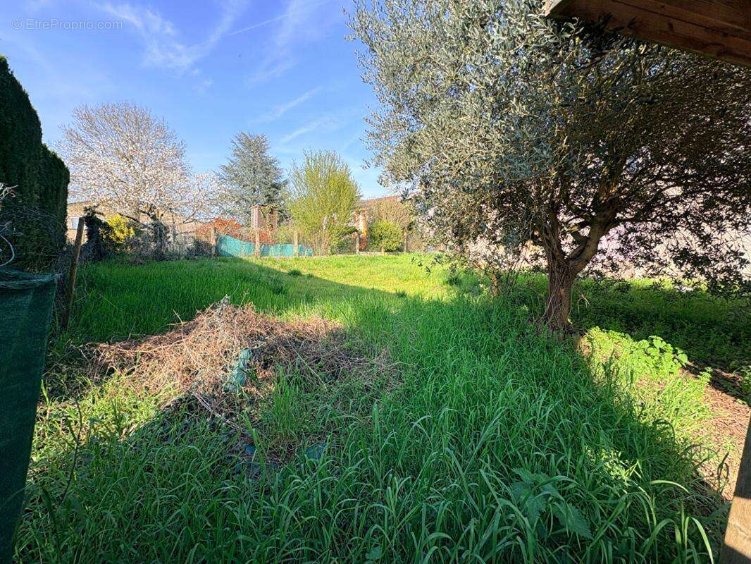 Maison à SAINT-DIDIER-SUR-CHALARONNE