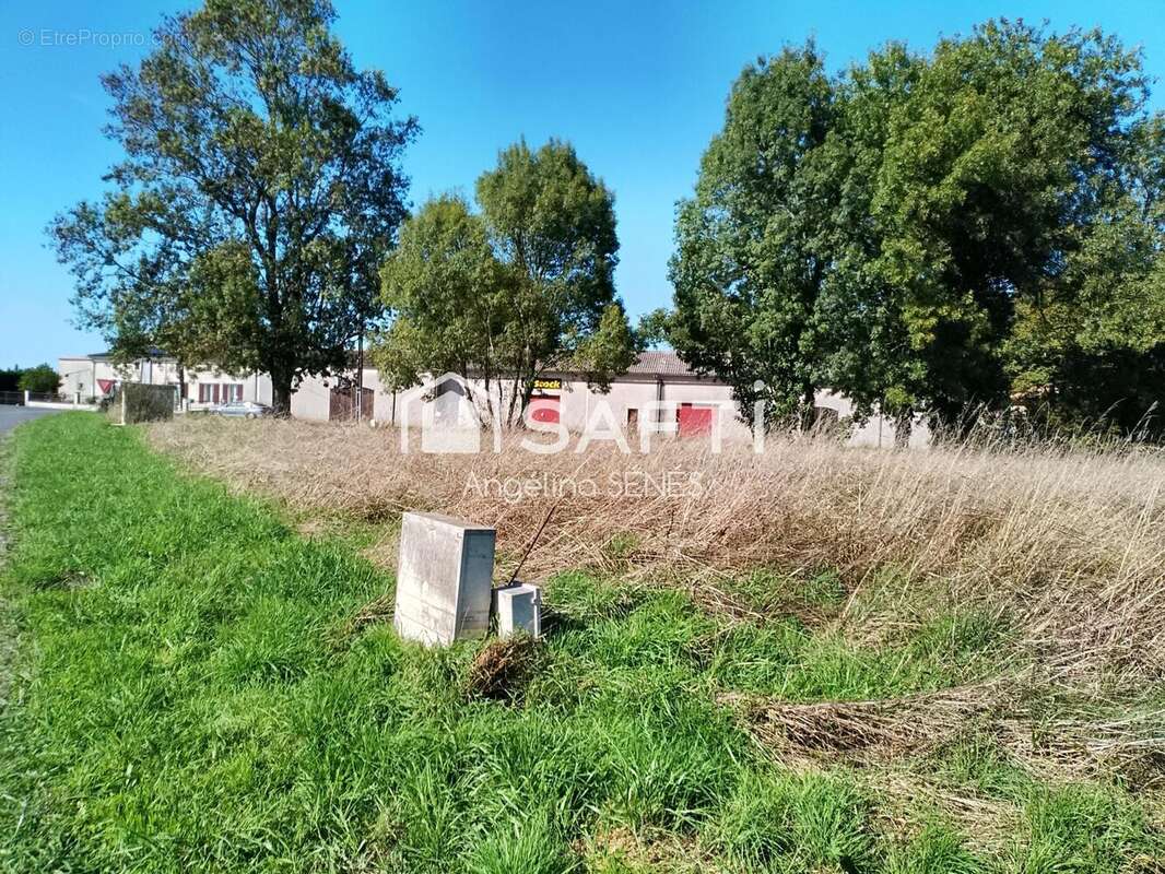 Photo 2 - Terrain à SAINT-CAPRAIS-DE-BLAYE