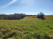 Terrain à MARCIAC