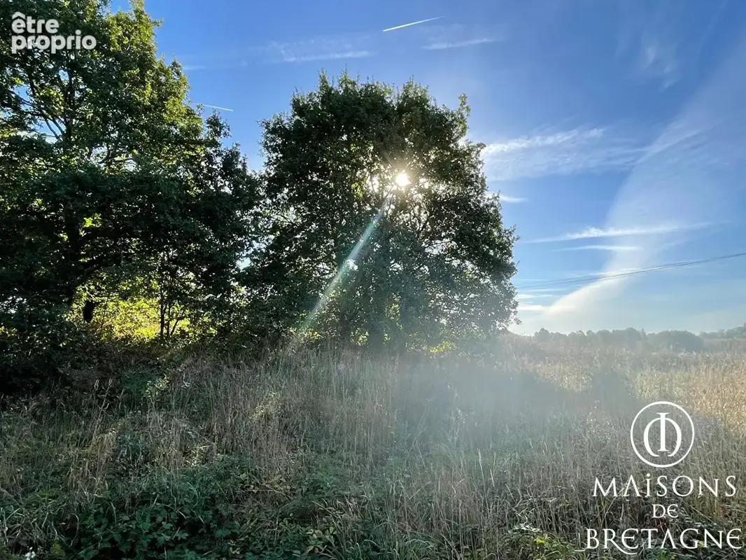 Longère à rénover à Bannalec - photo 6