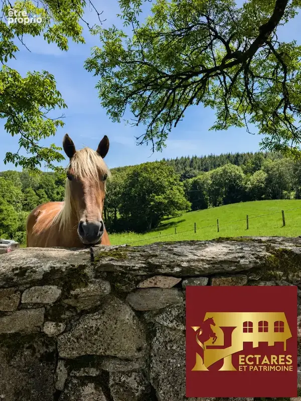 Domaine de caractère et activité touristique au coeur du haut-quercy - photo 4
