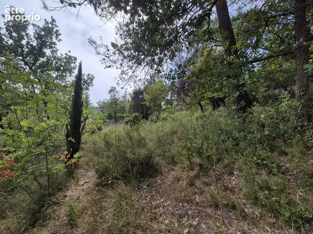 Vente Terrain Le luc(83340) 30 000ï¿œ - photo 4