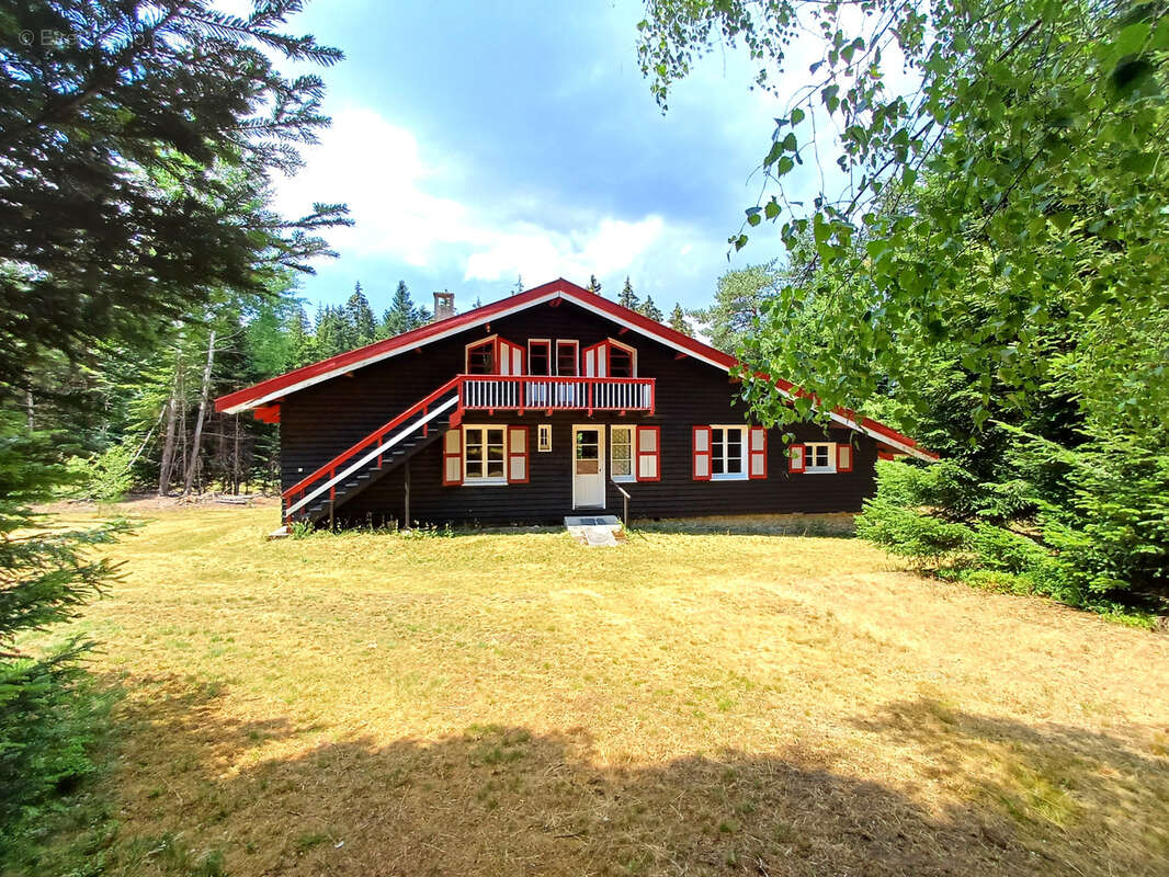 Chalet en bois sur sous sol et terrain attenant boisé - photo 20