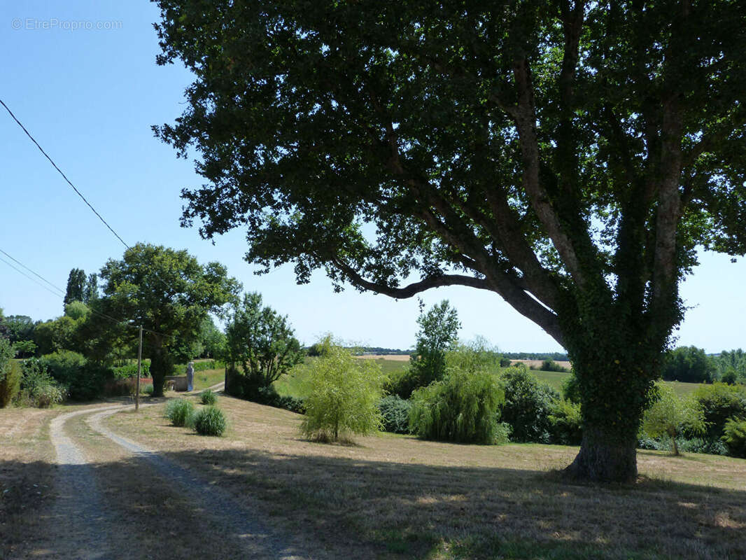 Propriété - 15 mins CHATEAU GONTIER - photo 17