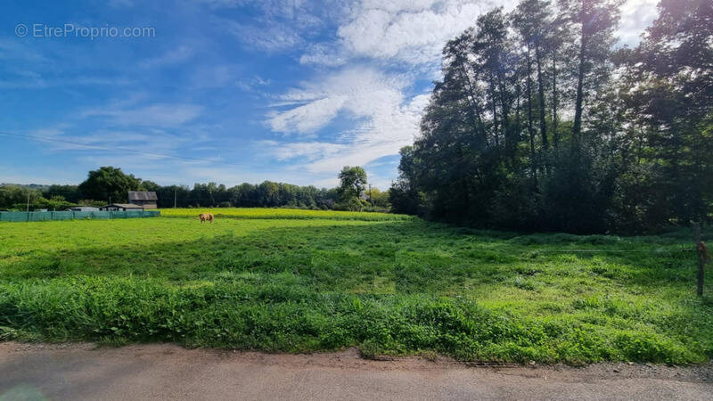 Terrain à SAINT-AULAIRE