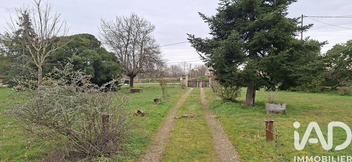 Photo 1 - Terrain à SABLONS