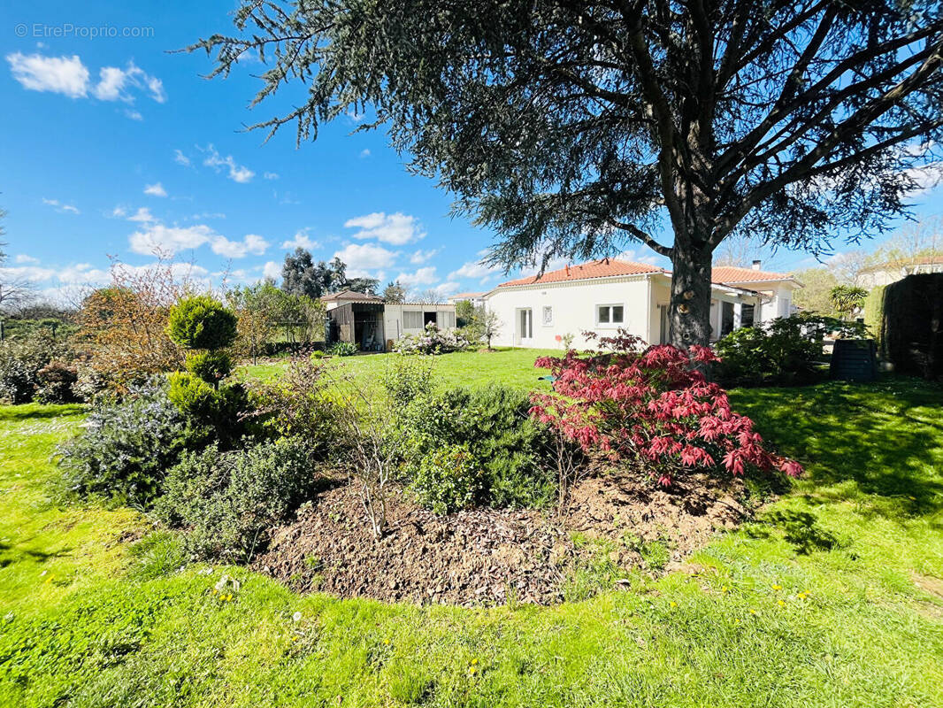 Maison à VILLENEUVE-SUR-LOT