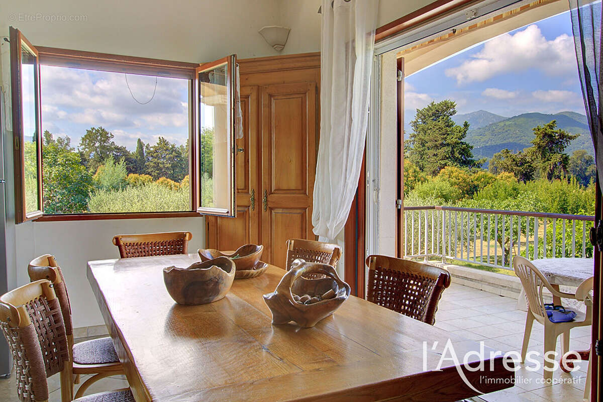 LUCCIANA  - propriété familiale de 202 m² au coeur d'une oliveraie - photo 5