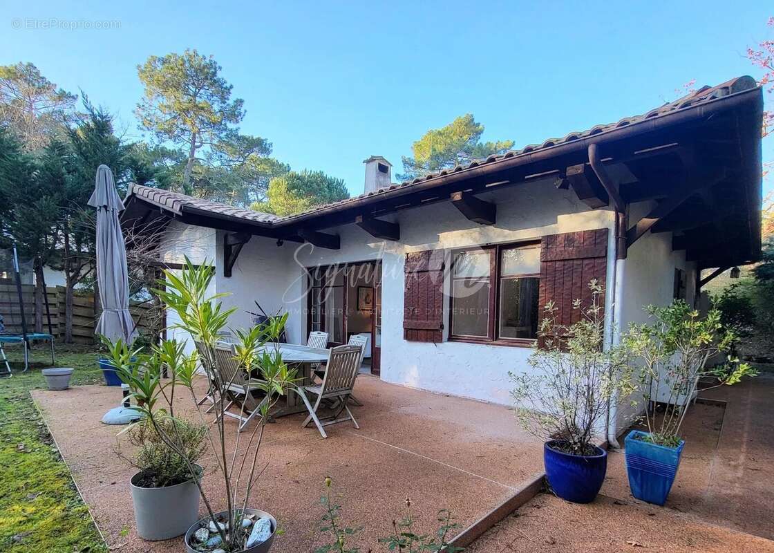 Maison à LE BOUSCAT