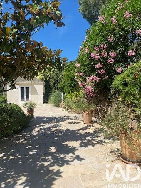 Photo 3 - Maison à CESSENON-SUR-ORB