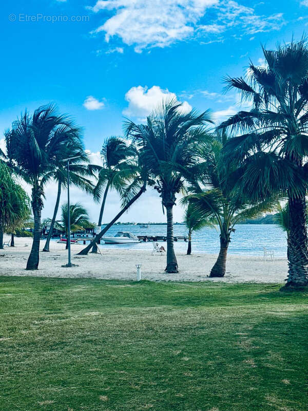 Appartement à SAINT-MARTIN