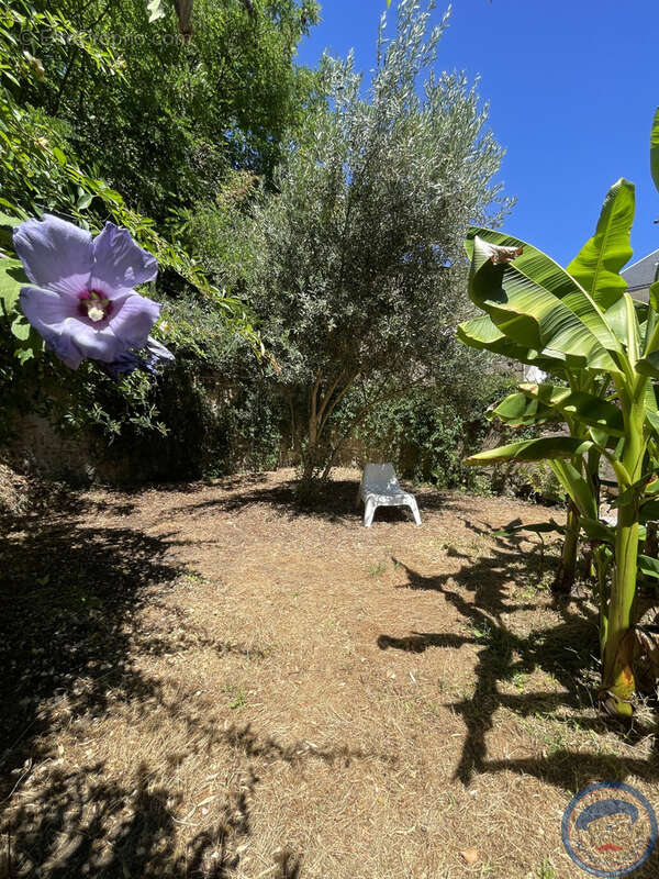 Appartement de charme avec jardin - photo 14