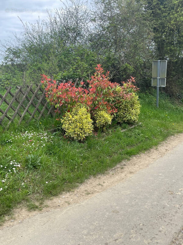 Terrain à HAGEN