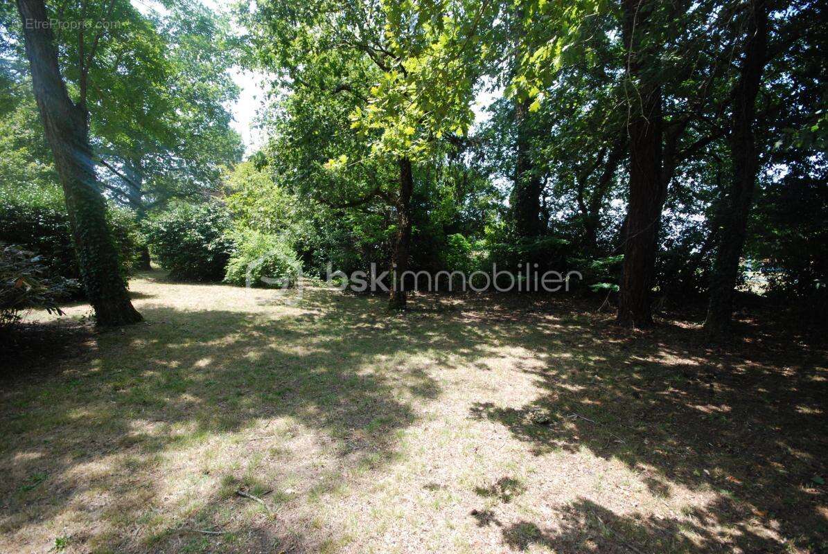 Alerte Investissement Rare : Grand terrain à saisir sur les Pyrénées ! - photo 3