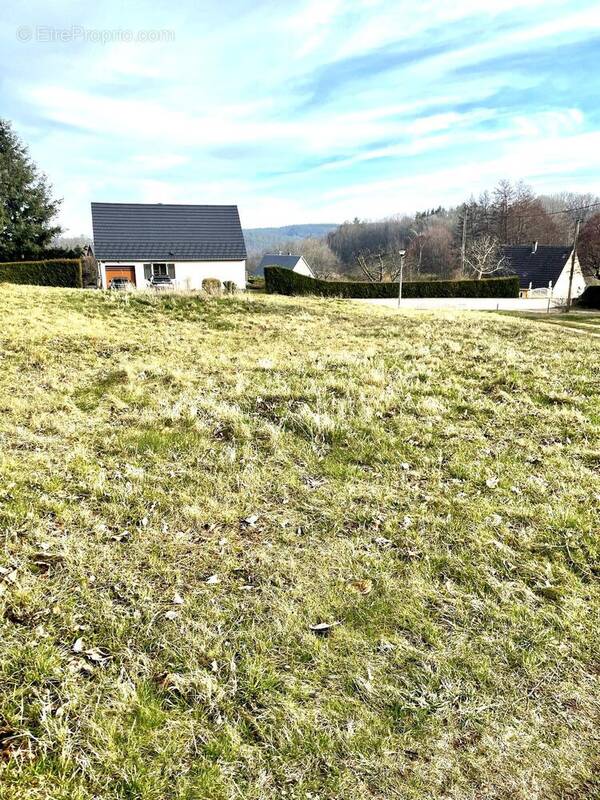 terrain 5,24 ares Labaroche centre   - Terrain à LABAROCHE