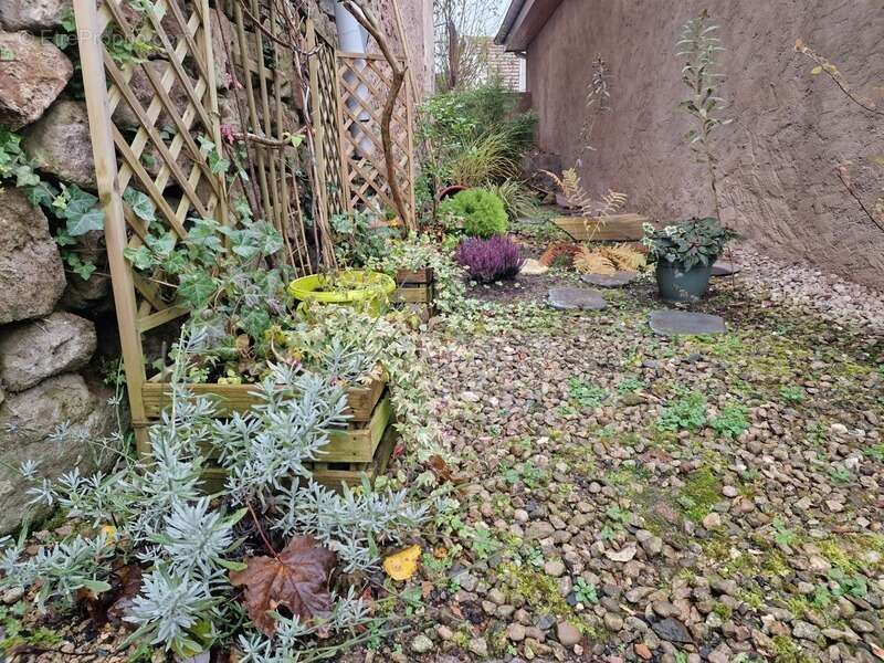 Appartement à SCHIRMECK