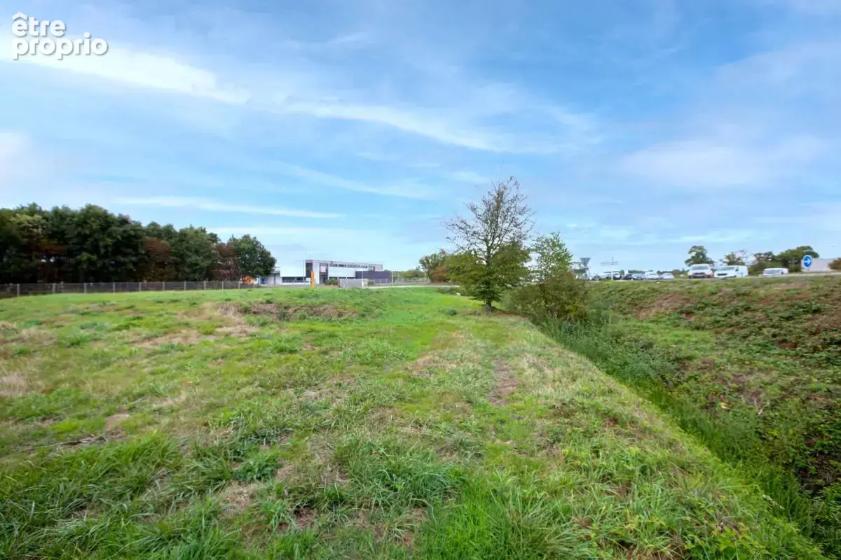 Terrain - 1 805 m² - Saint-Aubin-du-Cormier (35) - photo 5