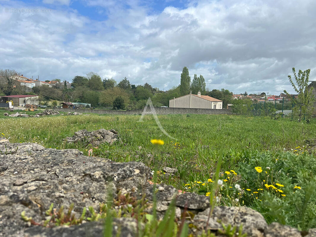 Terrain à MOUZEUIL-SAINT-MARTIN