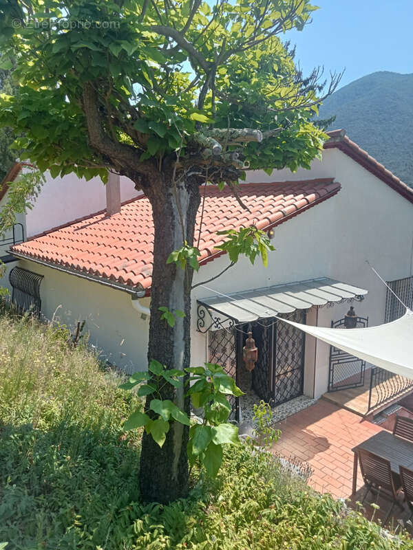 Maison à ARLES-SUR-TECH