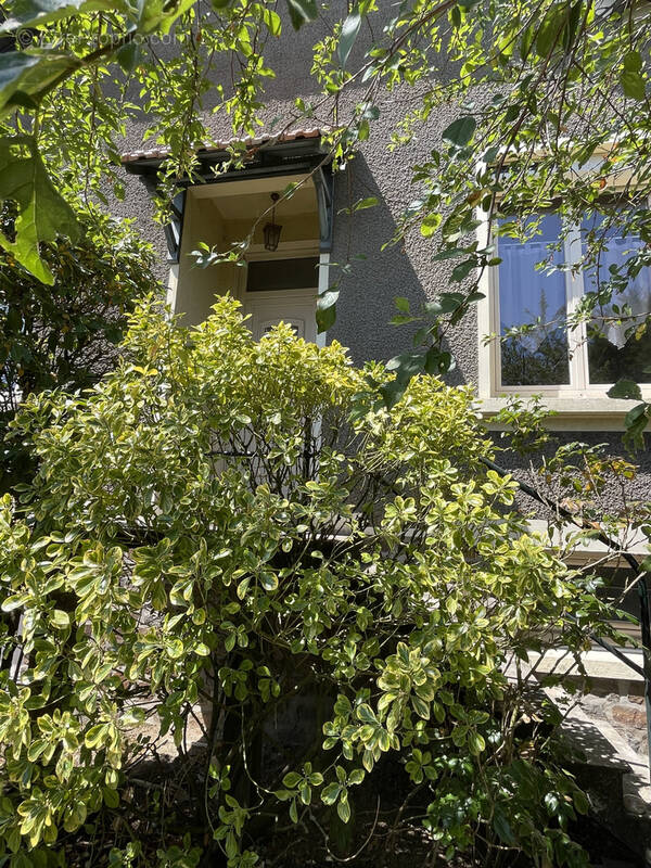 Maison à SAINT-GEREON