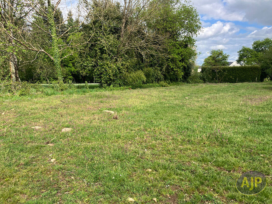 Terrain à QUESTEMBERT