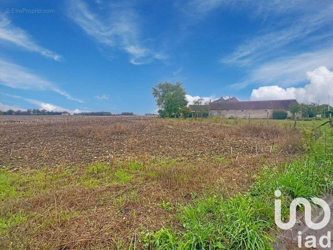 Photo 3 - Terrain à SOUPPES-SUR-LOING