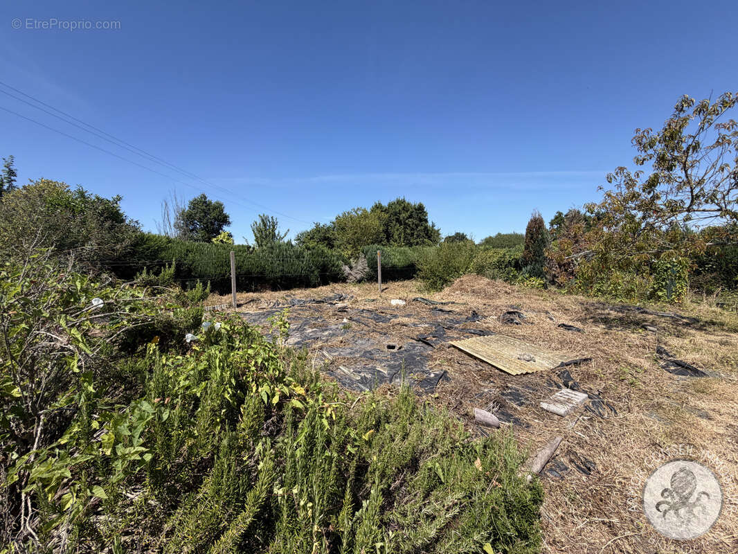 Terrain constructible de 1 156 m2   Produit rare à Val d'Arguenon - photo 4
