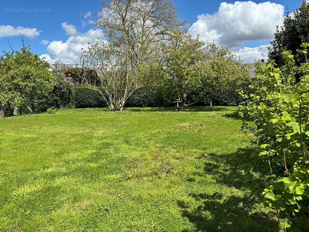 Terrain à BOURSEVILLE