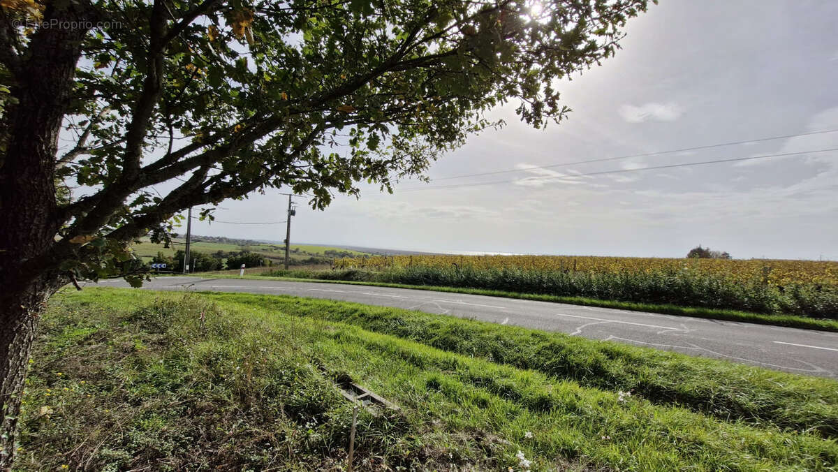 Terrain à CHENAC-SAINT-SEURIN-D&#039;UZET