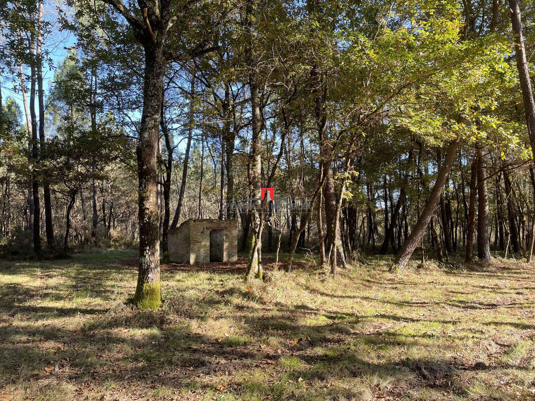 Terrain à SAINT-ANDRE-DE-CUBZAC