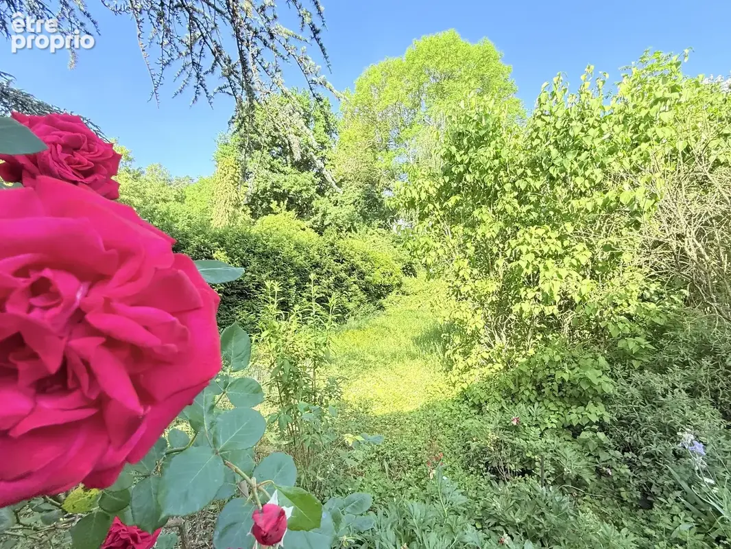 Maison familiale avec grand jardin arboré   Le Ban-Saint-Martin, secteur recherché - photo 17