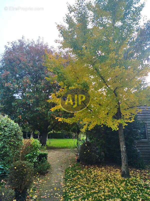 Maison à GUEMENE-PENFAO