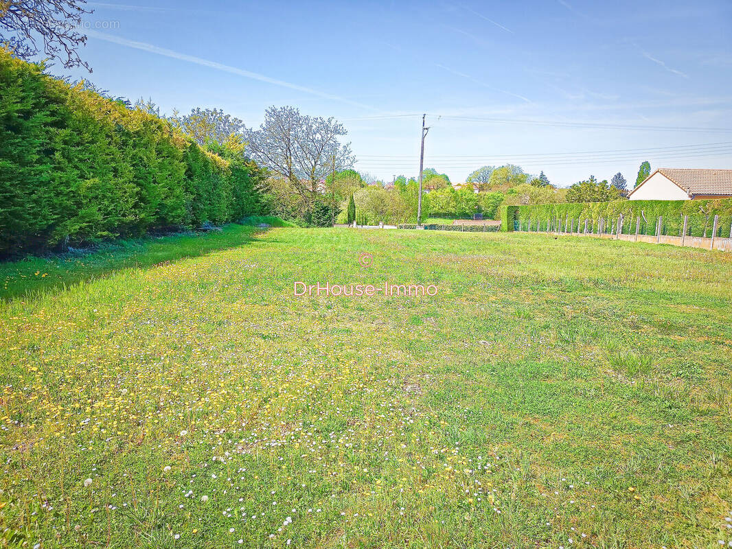 Terrain à SAINT-JEAN-DE-THOUARS