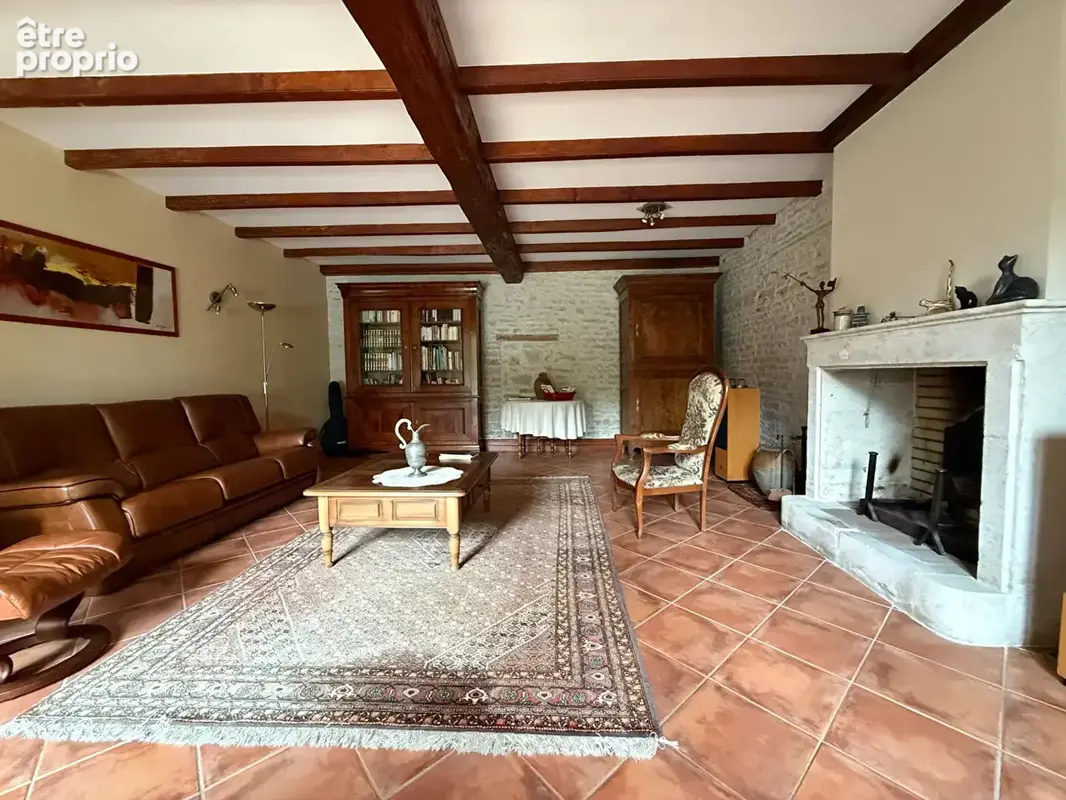 Maison 398m² à saint-hilaire-la-palud - photo 3