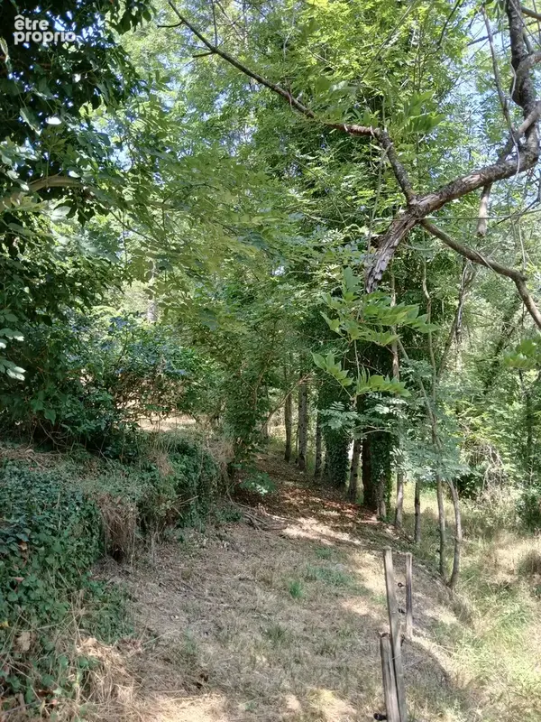 MAS 360 de volume + 25 hectares. - photo 22