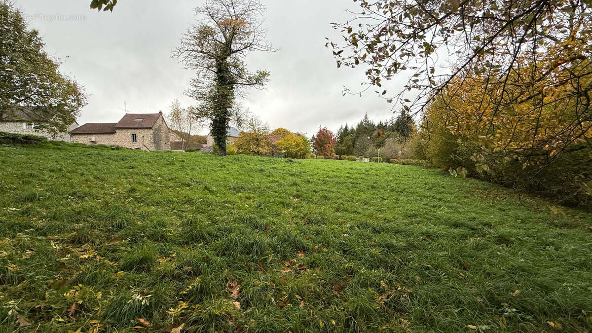 Terrain à MAISONNISSES